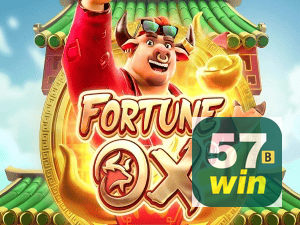 Material promocional do app 57WIN BET — ilustração, não métricas auditadas nesta página